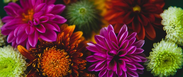 蓉城第90分钟遭扳平！李扬送点，神户点射破门2-2扳平蓉城